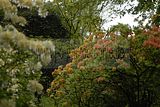 tannenfeld-sommer 2012-033